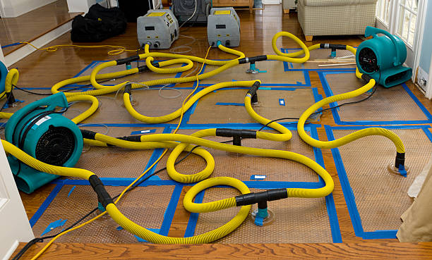 Professional Water Extraction technician working in Morristown, IN